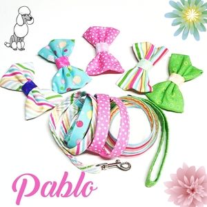 Pablo Dog Bow Ties & Leash 6 pc Set